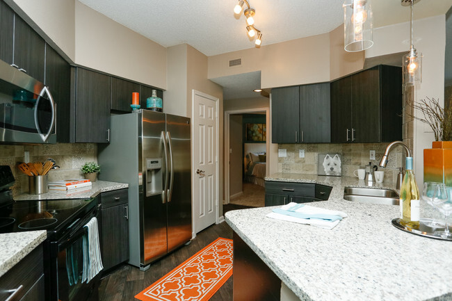 B5 - 2br - Kitchen - Elle at the Medical Center