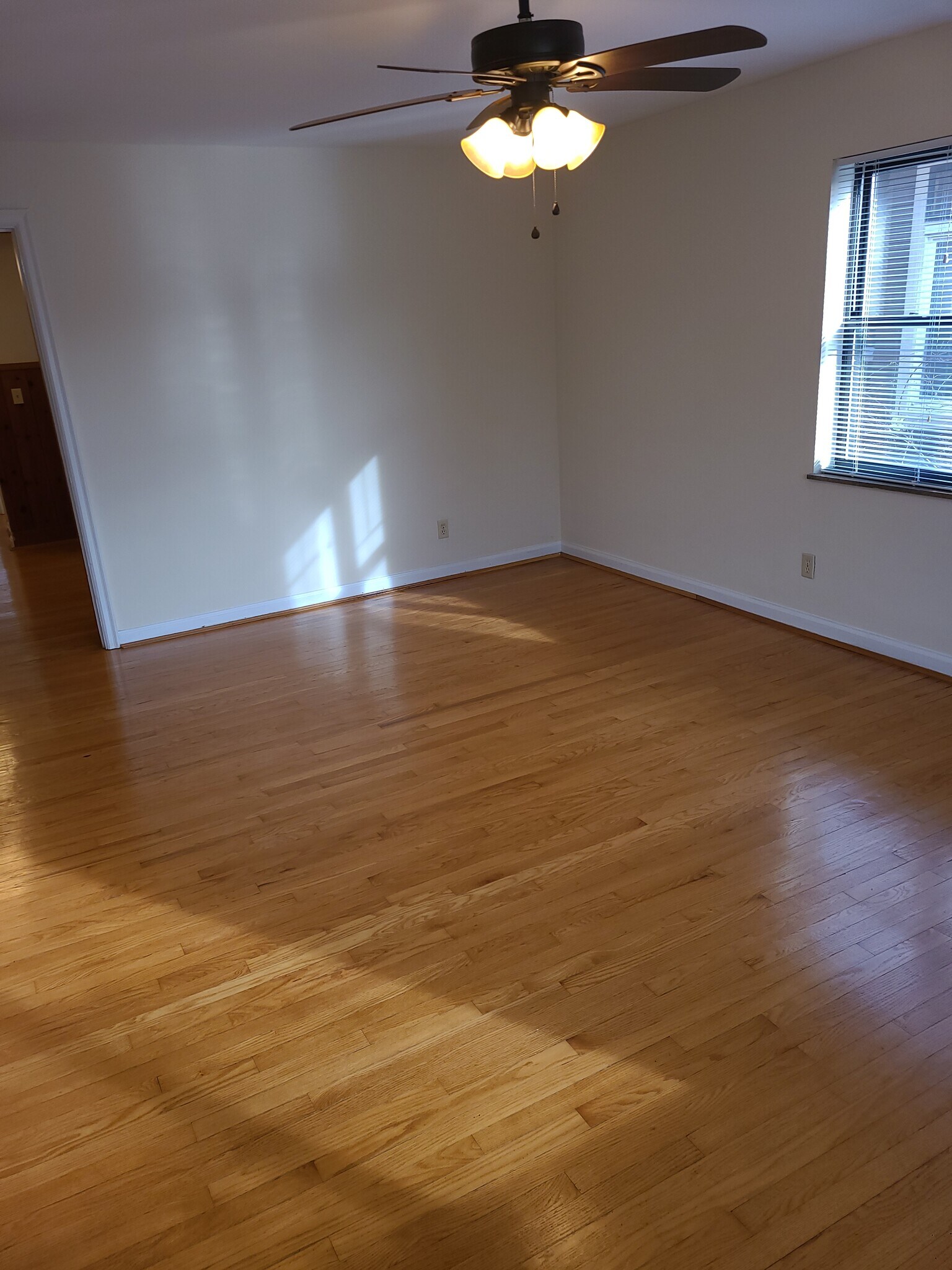 Building Photo - 234 Woolper Ave