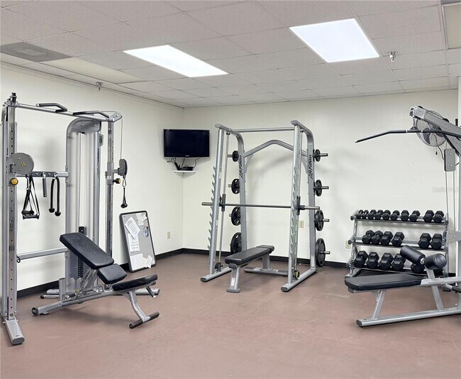 Building Photo - 345 Bayshore Blvd