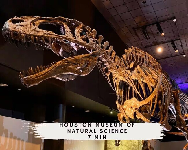 Building Photo - 3311 Daphne St