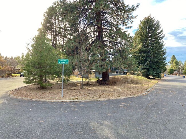 Building Photo - Mid-Century Modern Courtyard Gem in the Old Farm District