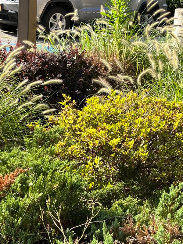 Building Photo - 1036 Howard St