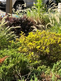 Building Photo - 1036 Howard St