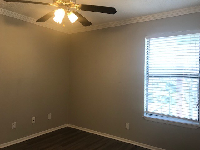 Building Photo - 1624 Aquarena Springs Dr