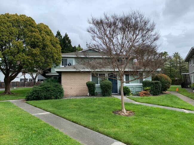 Building Photo - 2484 Plata Ct