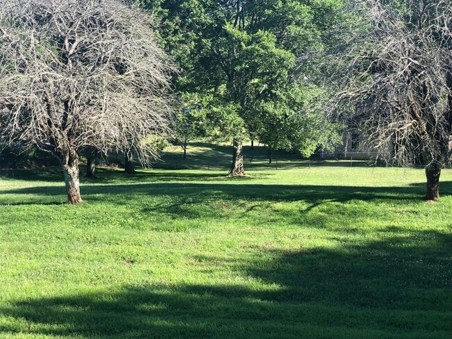 Building Photo - 3 Bedroom, 2 Bath, All Brick Home, Mt. Juliet Schools