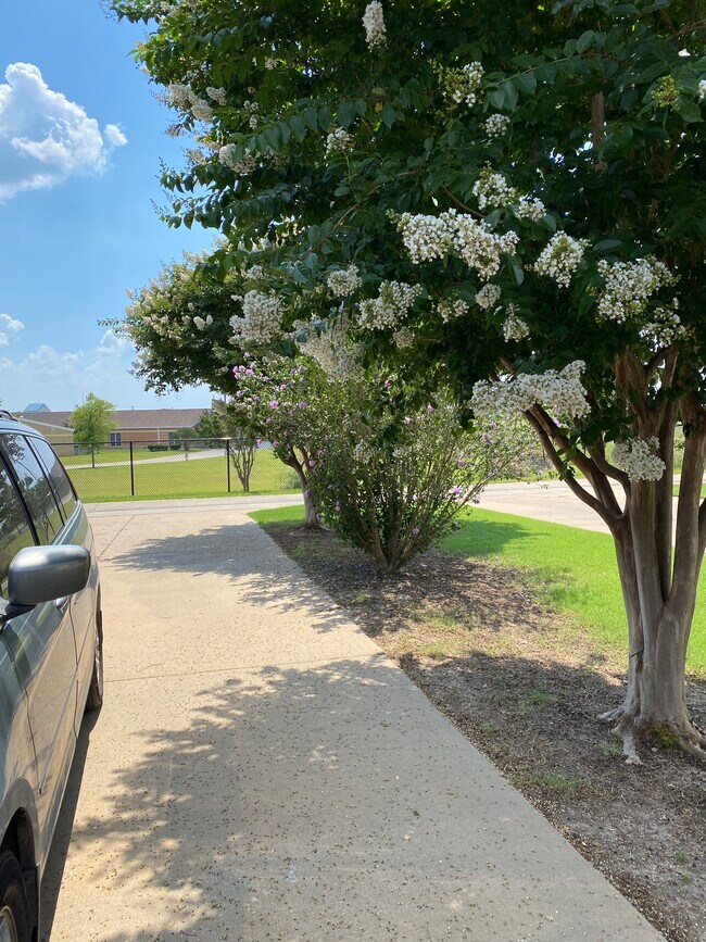 Building Photo - 2031 Trail Gln