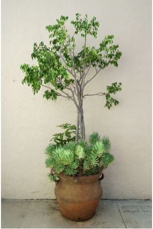 Building Photo - 6230 Lindenhurst Ave