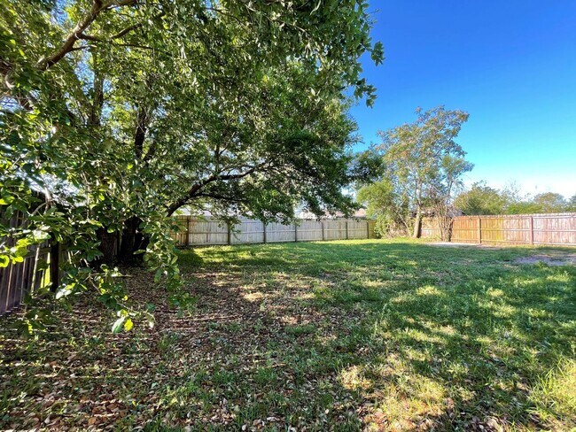 Building Photo - Remodeled 3/2 with huge yard in Sandalwood