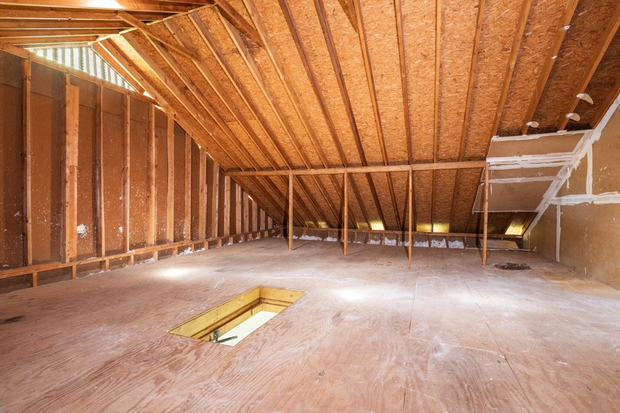 Building Photo - 4100 Lealand Ln
