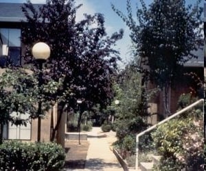 Building Photo - Sparks Way Commons