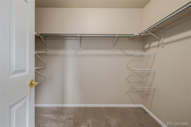 Building Photo - 9417 Burgundy Cir
