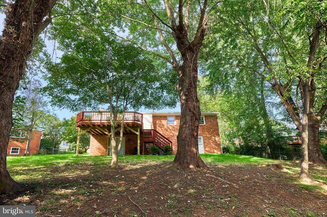 Building Photo - 2807 Schafflind Ct