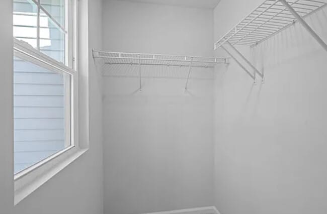 Building Photo - 183 Ivy Vine Wy