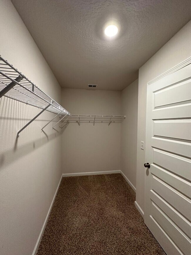 Building Photo - 3998 Whitetail Ln