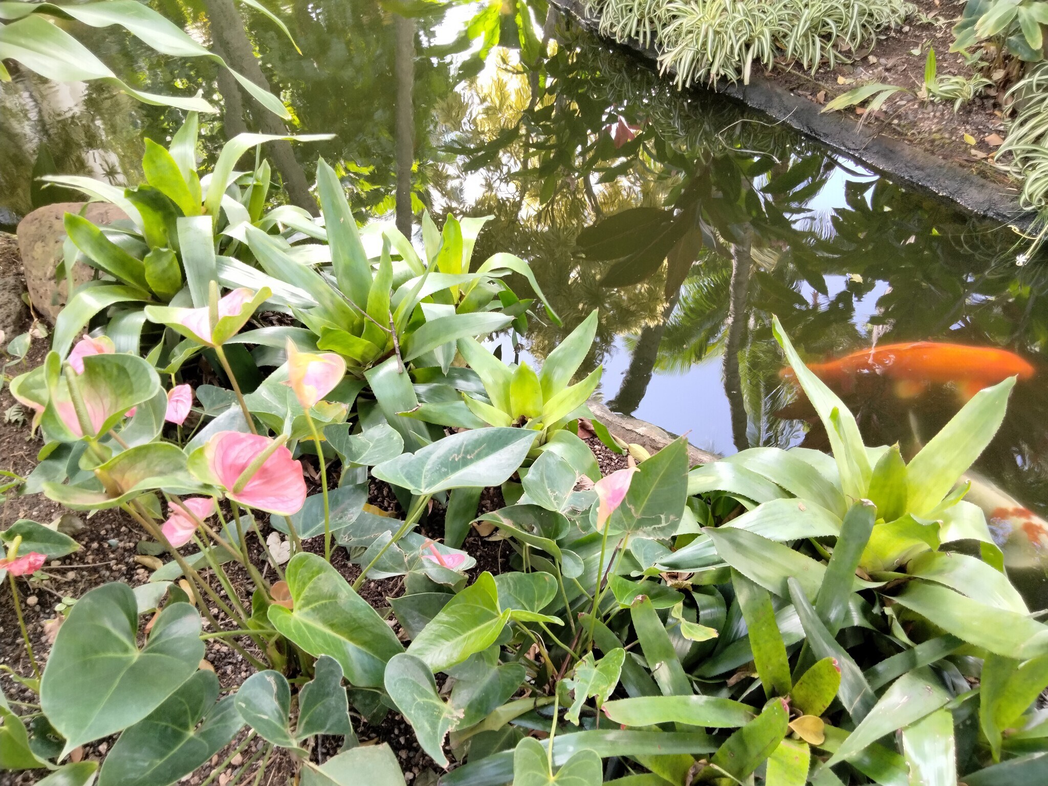 Gardens 13 - 300 Wai Nani Way