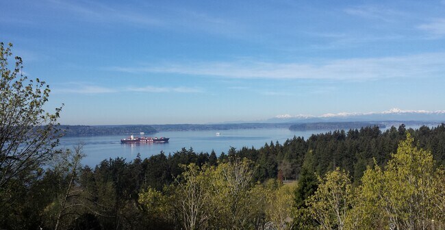 Apartment's backyard: Lincoln Park, Puget Sound, Olympic Mountains. - 8261 Northrop Plz SW