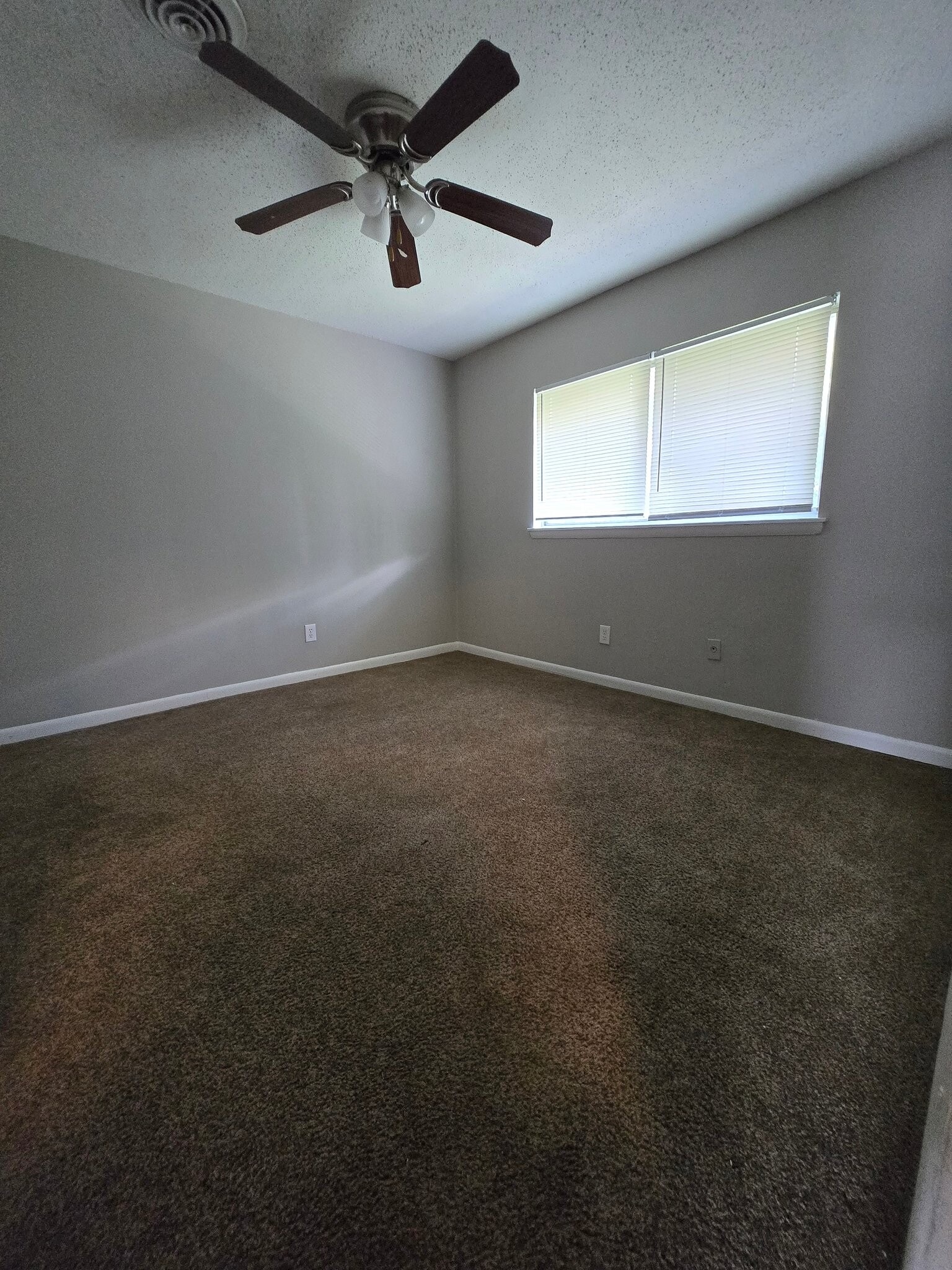 Building Photo - 1840 Tall Pines Cir