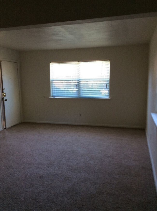 9019 Chesapeake Blvd 9019 Chesapeake Blvd Norfolk VA 23503