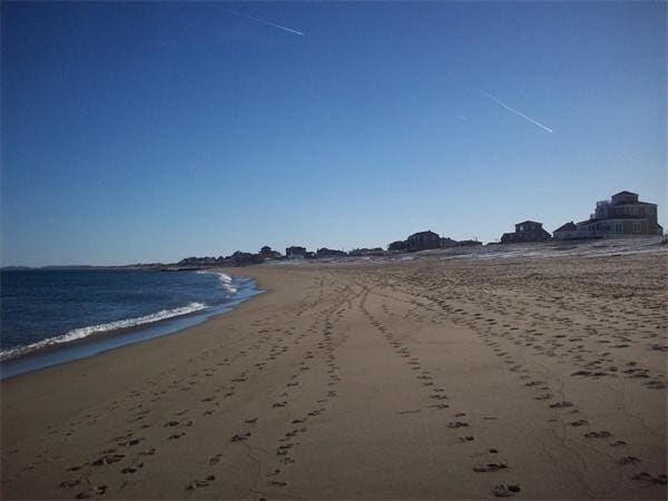 Building Photo - 4 Roy Ave