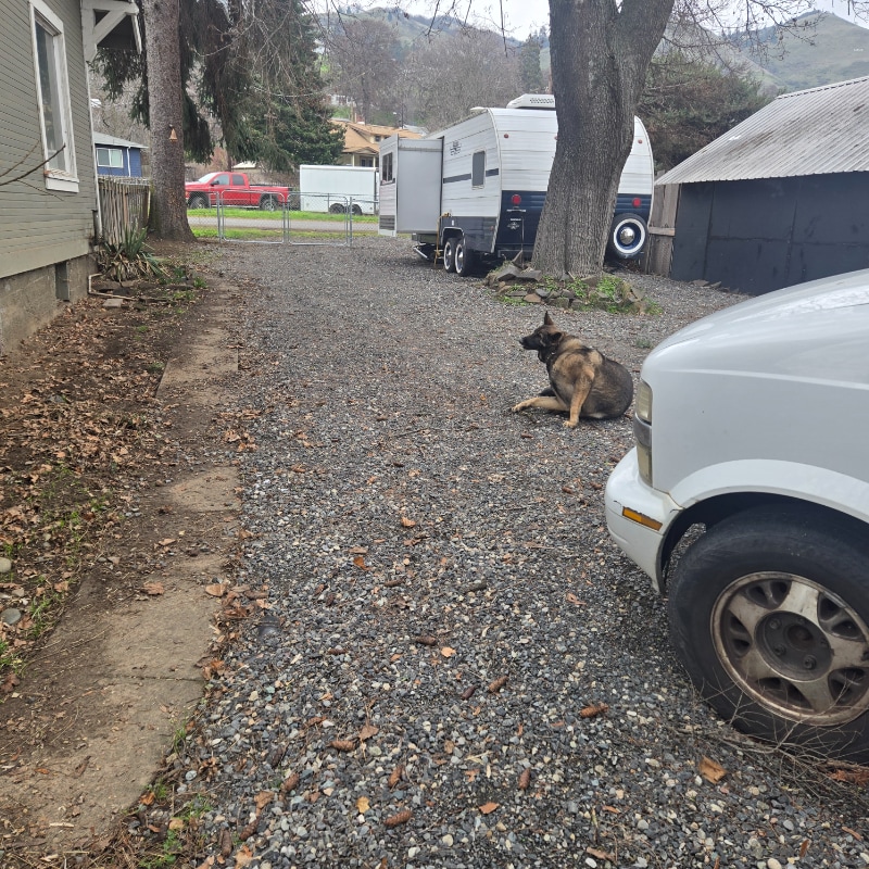 Building Photo - 316 Tacoma Ave