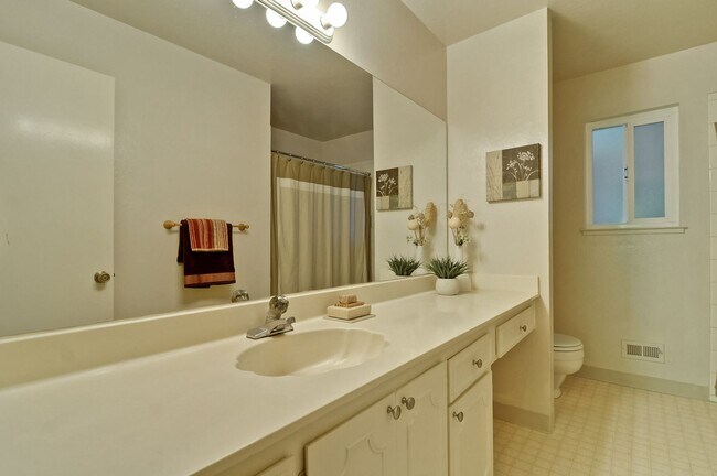 Building Photo - Gorgeous Three Bedroom Two Bathroom in San...