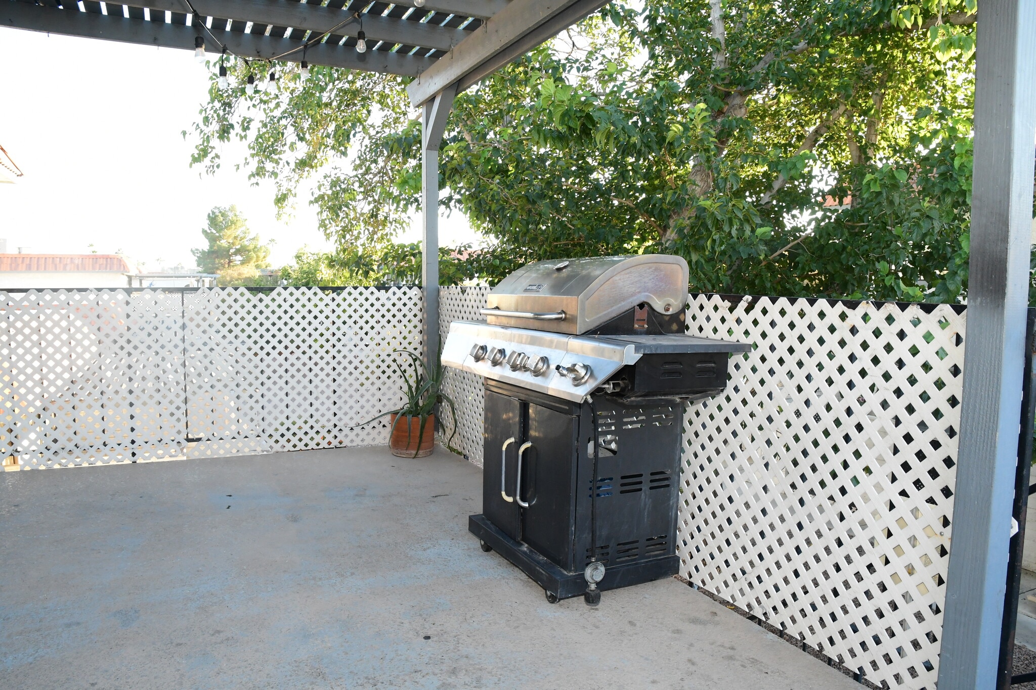 Building Photo - 925 Willow Tree Dr