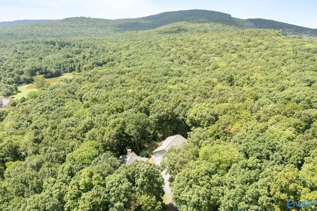 Building Photo - 214 Clark Mountain Rd