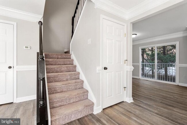 Building Photo - 853 Gallows Ct