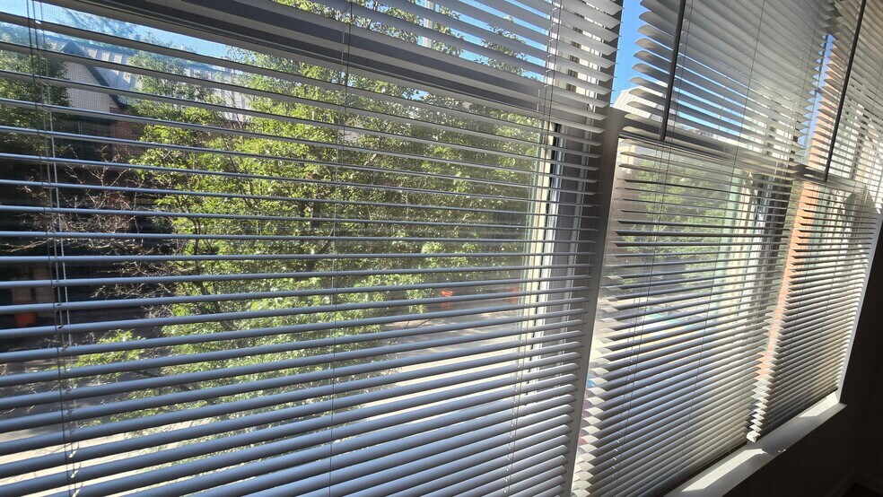 Living room view - 125 N Euclid Ave