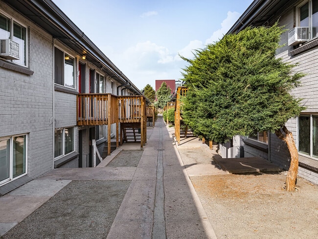 We Are Pet-Friendly & Paw-Approved - Federal Terrace Apartments