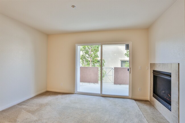 Building Photo - 3542 Shoreline Bluff Ln