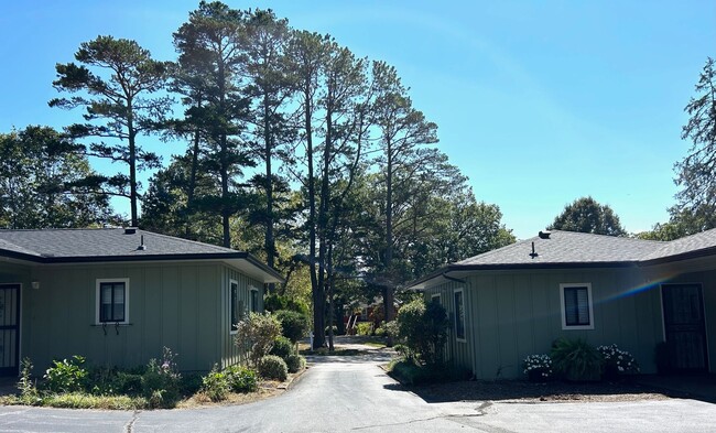 Building Photo - Black Mountain - Single Level Two Bedroom ...