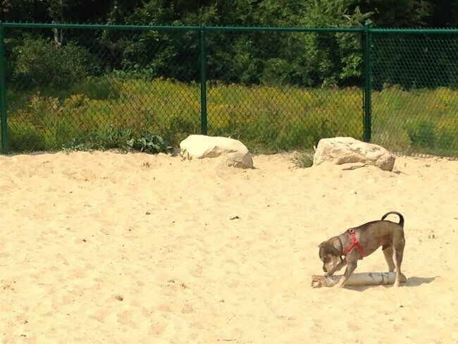 Building Photo - 29 Capron Rd