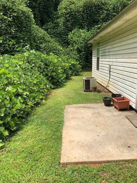 Building Photo - 209 Wilson Mill Dr