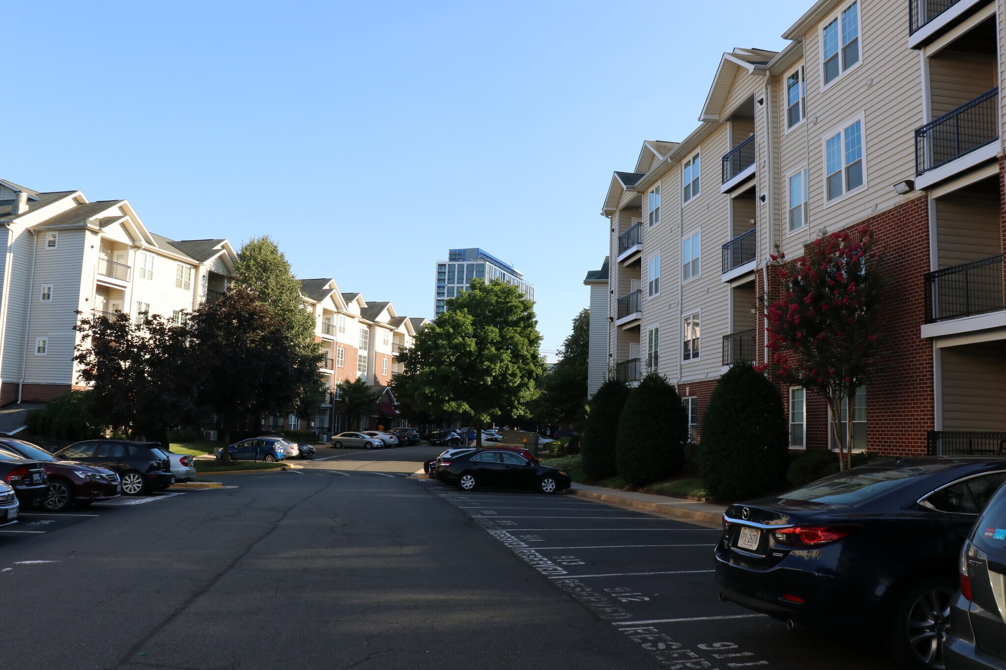 View of street in complex - 1570 Spring Gate Dr