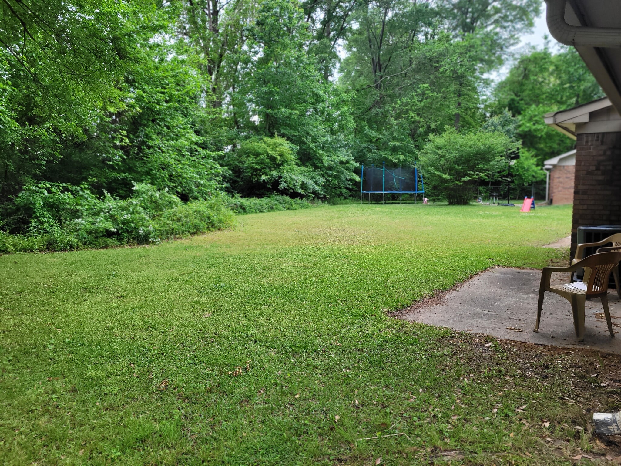 backyard - 2501 Washington St