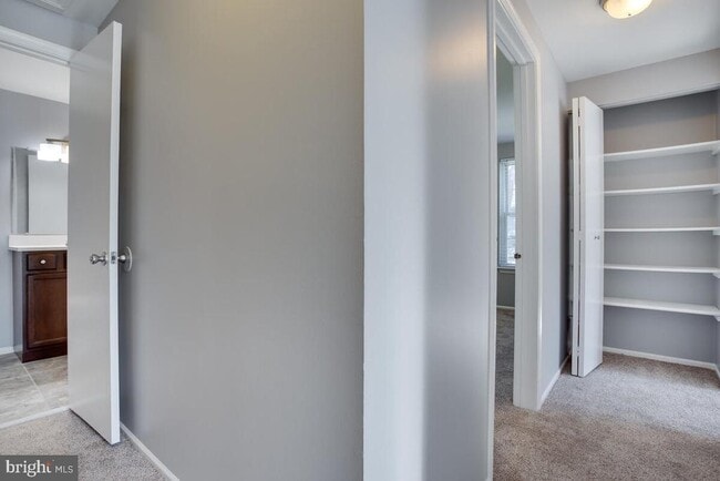 Building Photo - 700 Brandon Cir