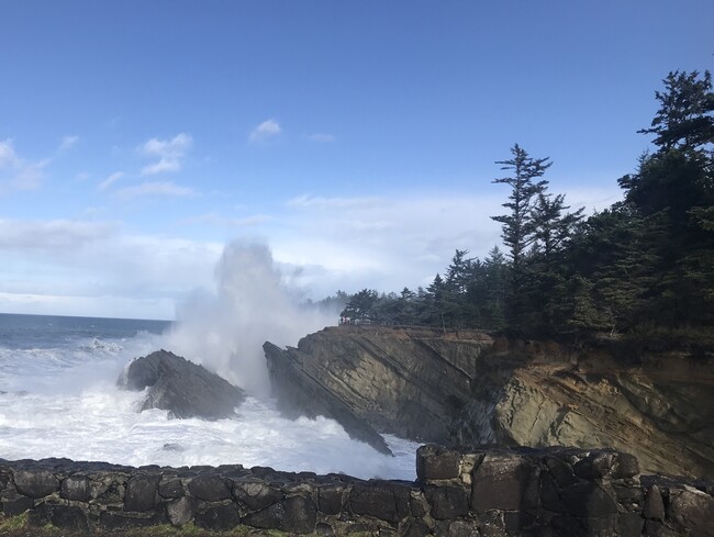 Big Waves at Shore Acres - 515 Garfield Ave SW