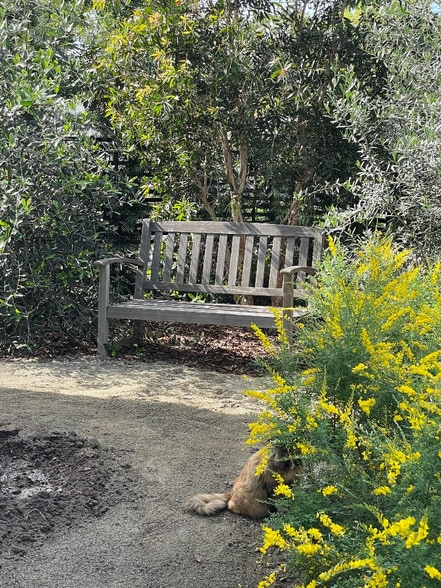 Private Garden - 648 E Fairview Blvd
