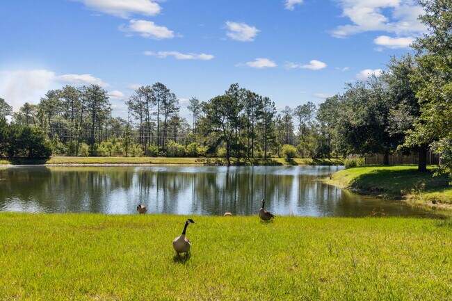Building Photo - 12677 Pine Marsh Way