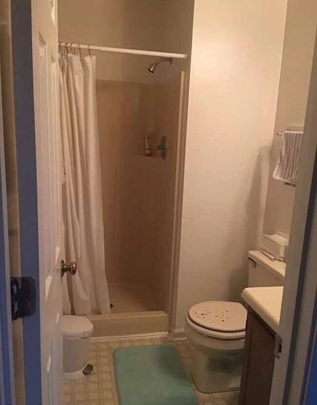 Master Bath - 2505 Ridge Rd