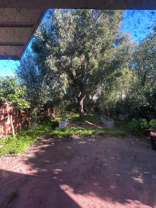 Building Photo - 1862 20th Ave