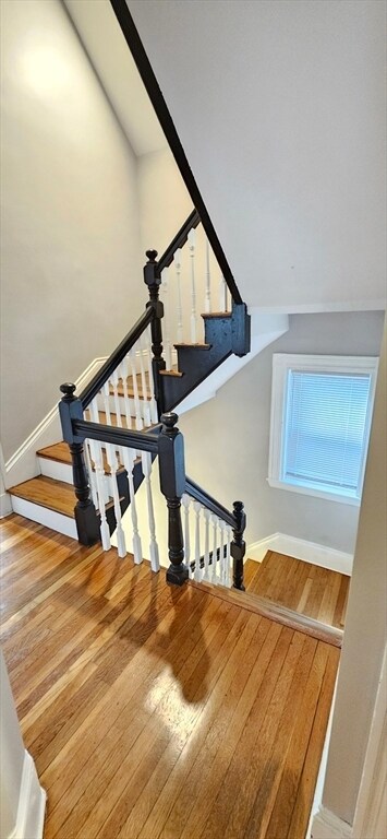 Building Photo - 28 Oakley St