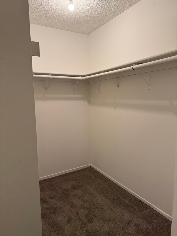 Building Photo - 1400 Peckham St