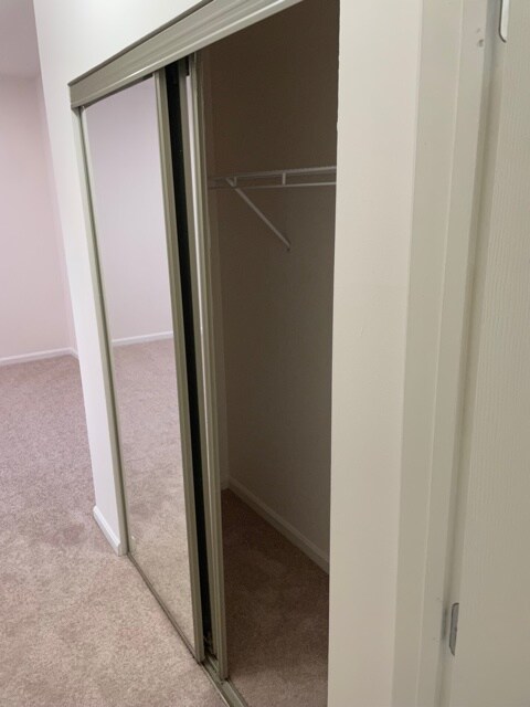 Side closet in MBR, Full mirrored doors - 4860 Eisenhower Ave