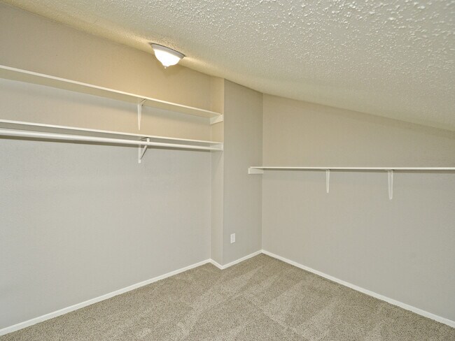 Building Photo - 5913 Little Creek Trail