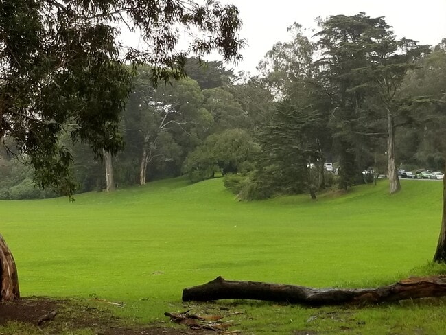 Building Photo - 446 Kirkham St