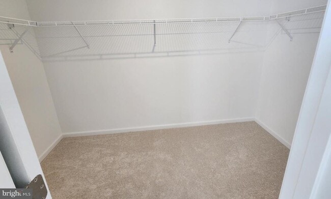 Building Photo - 477 Husky Trl