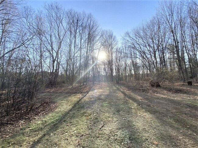 Building Photo - 439 Middlesex Turnpike